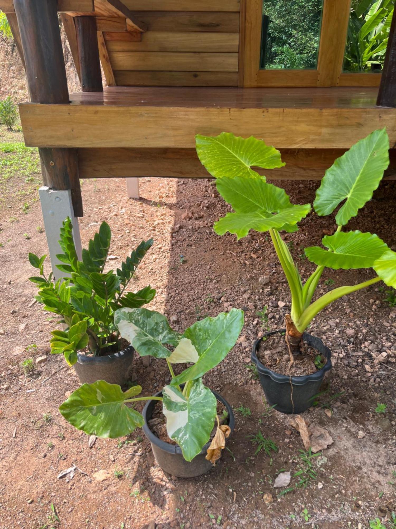 Koh Jum Home Stay المظهر الخارجي الصورة
